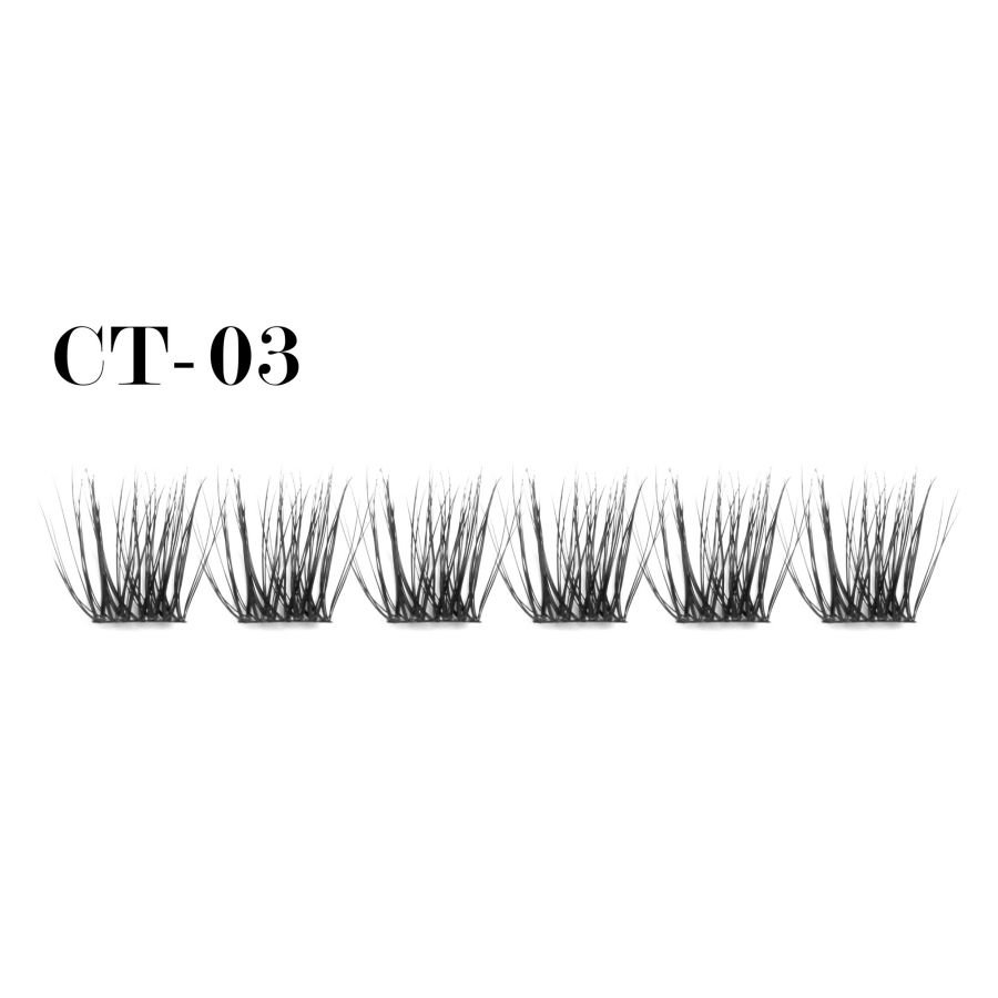 Bionic cluster lashes CT-03 (1)