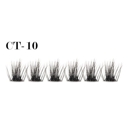 Bionic cluster lashes CT-10 (1)