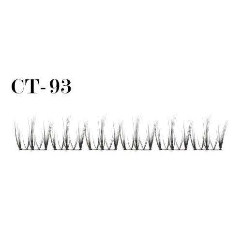 Bionic cluster lashes CT-93 (1)
